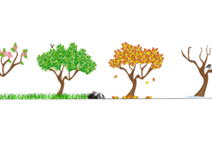 雲の高さってどれくらい 子供のギモン 大人も ギモン 雲の高さってどれくらい 子供のギモン 大人も ギモン