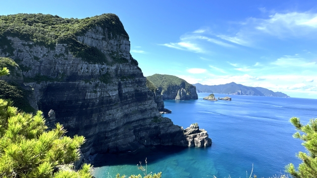 夜萩円山公園から見た鹿島断崖