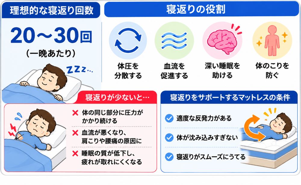 "理想的な寝返り回数と寝返りの役割、寝返りしやすいマットレスの条件を解説したイラスト"